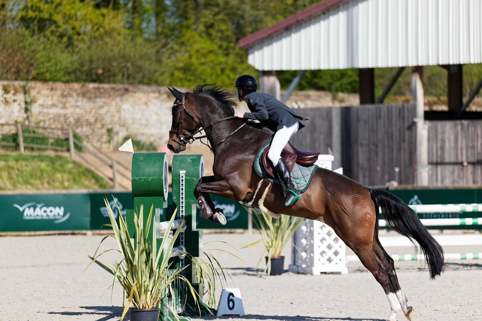 Bienvenue sur le site officiel du club