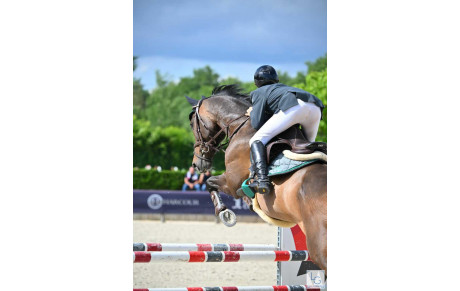 Création de l'association