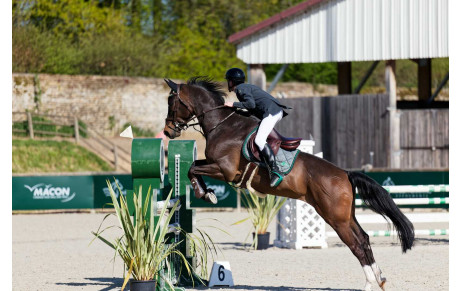 Bienvenue sur le site officiel du club